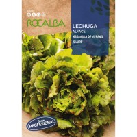 S.ALFACE ROCALBA PROF.MARAVILHA DE VERAO