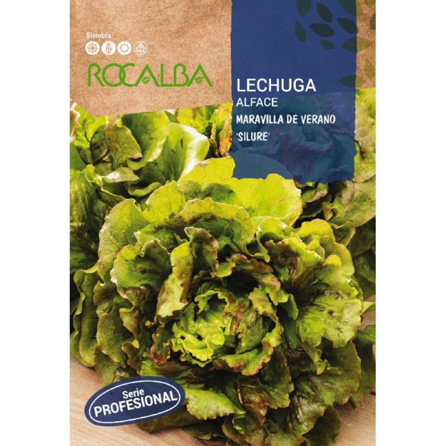 S.ALFACE ROCALBA PROF.MARAVILHA DE VERAO