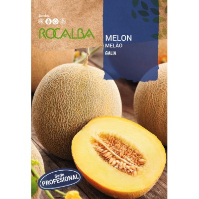 S.MELAO ROCALBA PRO.F-1 GALIA