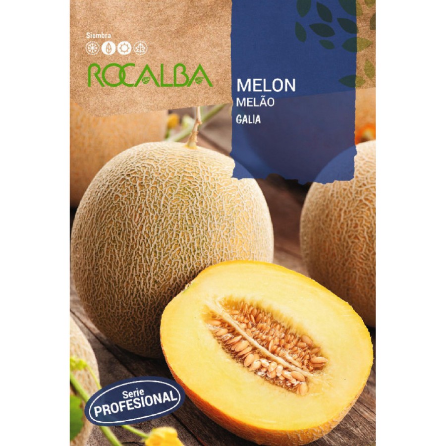 S.MELAO ROCALBA PRO.F-1 GALIA