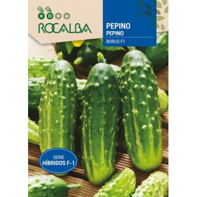 S.PEPINO ROCALBA HIBRIDA F1 BORUS