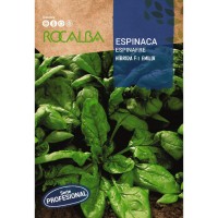 S.ESPINAFRES ROCALBA PROF.F-1 EMILIA S.ESPINAFRES ROCALBA PROF.F-1 EMILIA