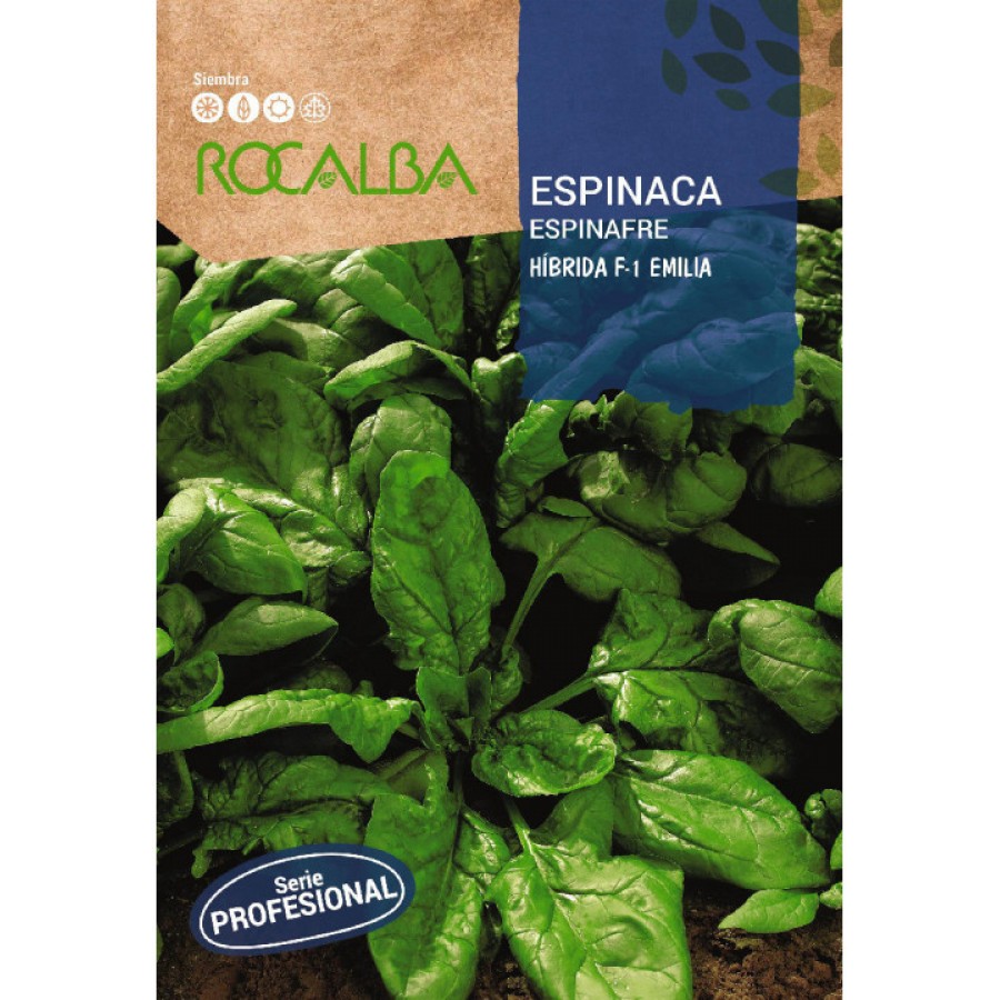S.ESPINAFRES ROCALBA PROF.F-1 EMILIA S.ESPINAFRES ROCALBA PROF.F-1 EMILIA