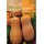 S.ABOBORA ROCALBA BUTTERNUT