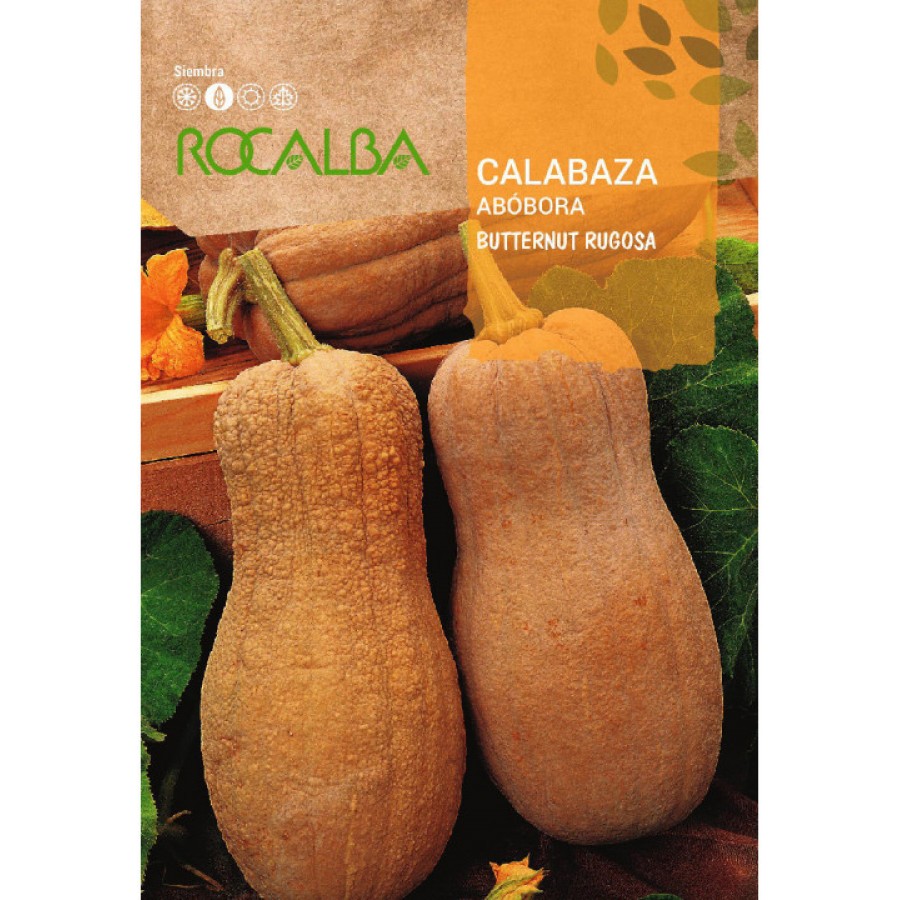 S.ABOBORA ROCALBA BUTTERNUT