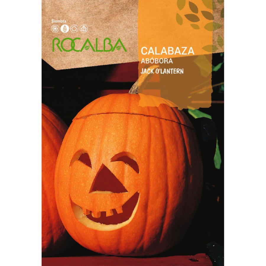 S.ABOBORA ROCALBA JACK O LANTERNA