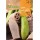 S.LUFFA ROCALBA ESPONJA VEGETAL