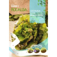 S.ALFACE EM CINTA ROCALBA MARAVILHA DE VERÃO S.ALFACE EM CINTA ROCALBA MARAVILHA DE VERÃO