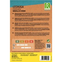 S.ALFACE EM CINTA ROCALBA MARAVILHA DE VERÃO S.ALFACE EM CINTA ROCALBA MARAVILHA DE VERÃO