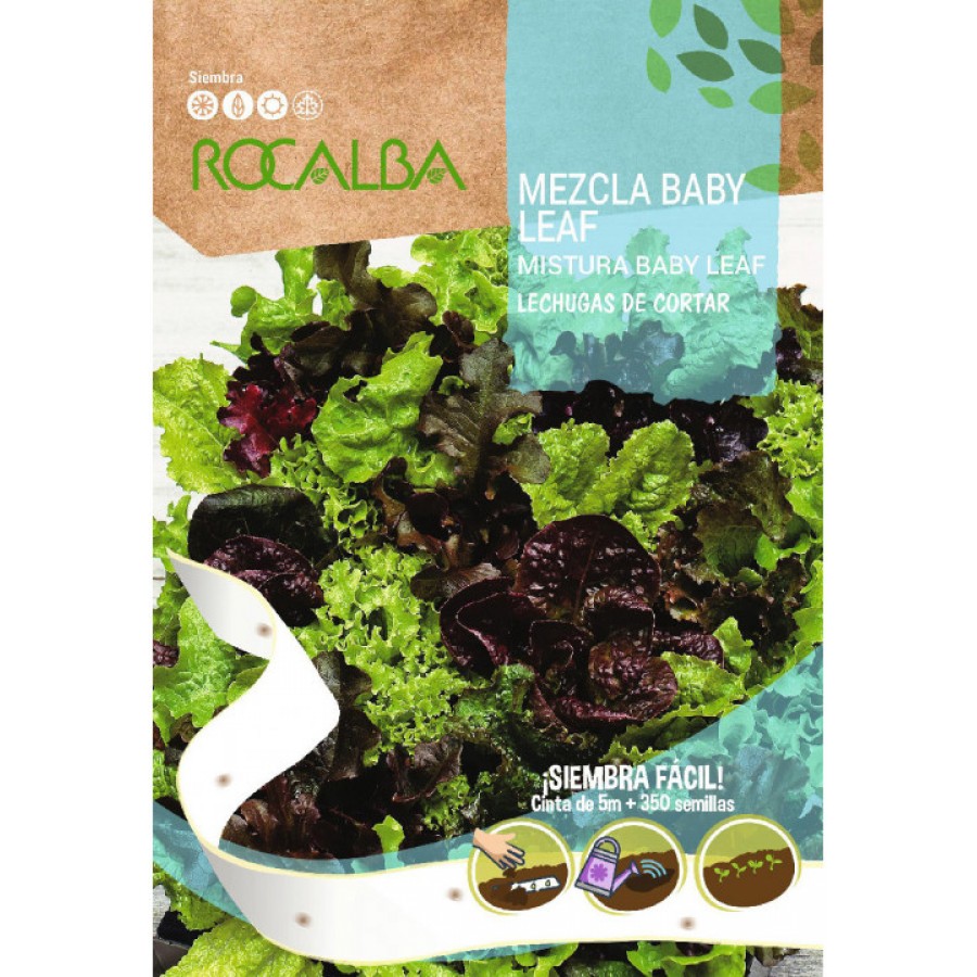 S.MISTURA ALFACES EM CINTA ROCALBA BABY LEAF