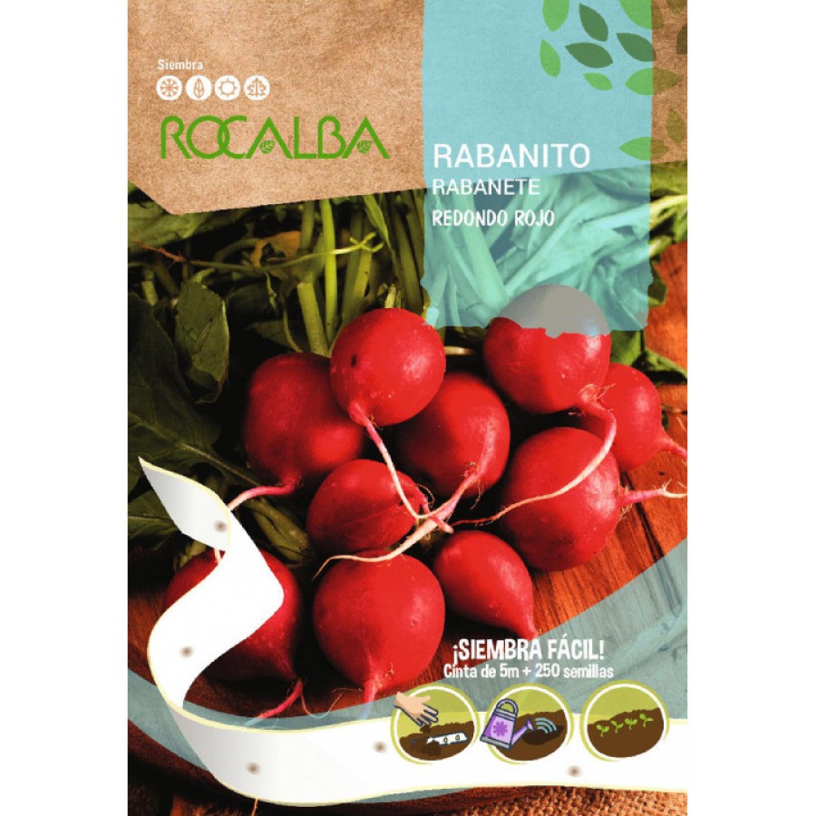 S.RABANETE EM CINTA ROCALBA REDONDO