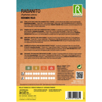 S.RABANETE EM CINTA ROCALBA REDONDO S.RABANETE EM CINTA ROCALBA REDONDO