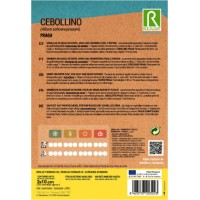 S.CEBOLINHO EM DISCOS ROCALBA DE PRAGA