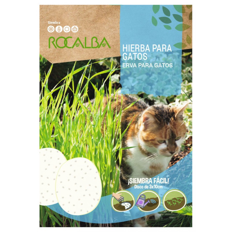 S.ERVA PARA GATOS EM DISCOS ROCALBA S.ERVA PARA GATOS EM DISCOS ROCALBA