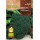 S.BIO ROCALBA BROCOLO VERDE CALABRES