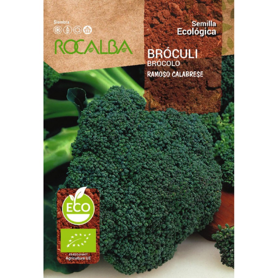 S.BIO ROCALBA BROCOLO VERDE CALABRES S.BIO ROCALBA BROCOLO VERDE CALABRES