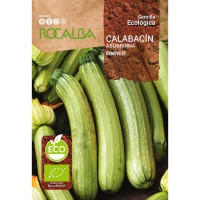 S.BIO ROCALBA COURGETTE GENOVESE S.BIO ROCALBA COURGETTE GENOVESE