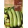 S.BIO ROCALBA COURGETTE GENOVESE