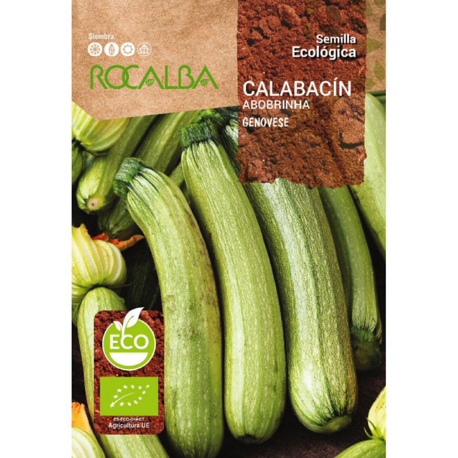 S.BIO ROCALBA COURGETTE GENOVESE S.BIO ROCALBA COURGETTE GENOVESE