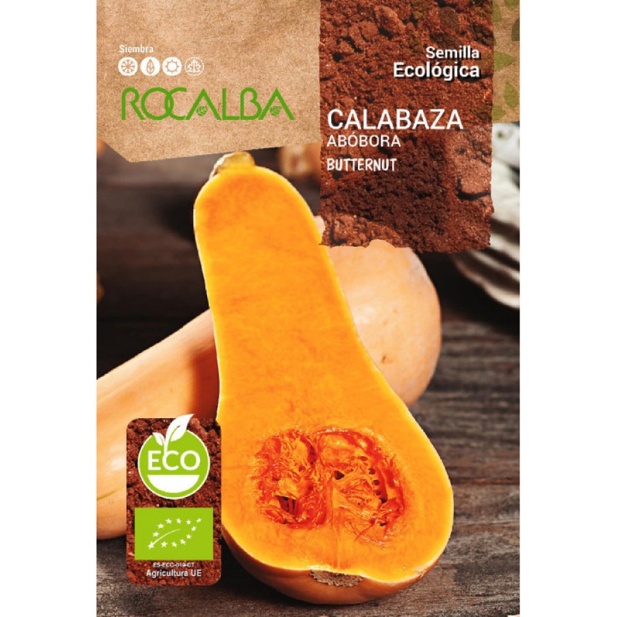 S.BIO ROCALBA  ABOBORA BUTTERNUT