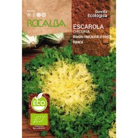 S.BIO ROCALBA CHICORIA FRISADA PANCALIERI S.BIO ROCALBA CHICORIA FRISADA PANCALIERI