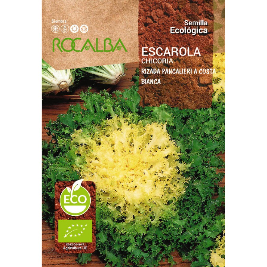S.BIO ROCALBA CHICORIA FRISADA PANCALIERI S.BIO ROCALBA CHICORIA FRISADA PANCALIERI