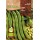 S.BIO ROCALBA  FAVA ECO AGUADULCE