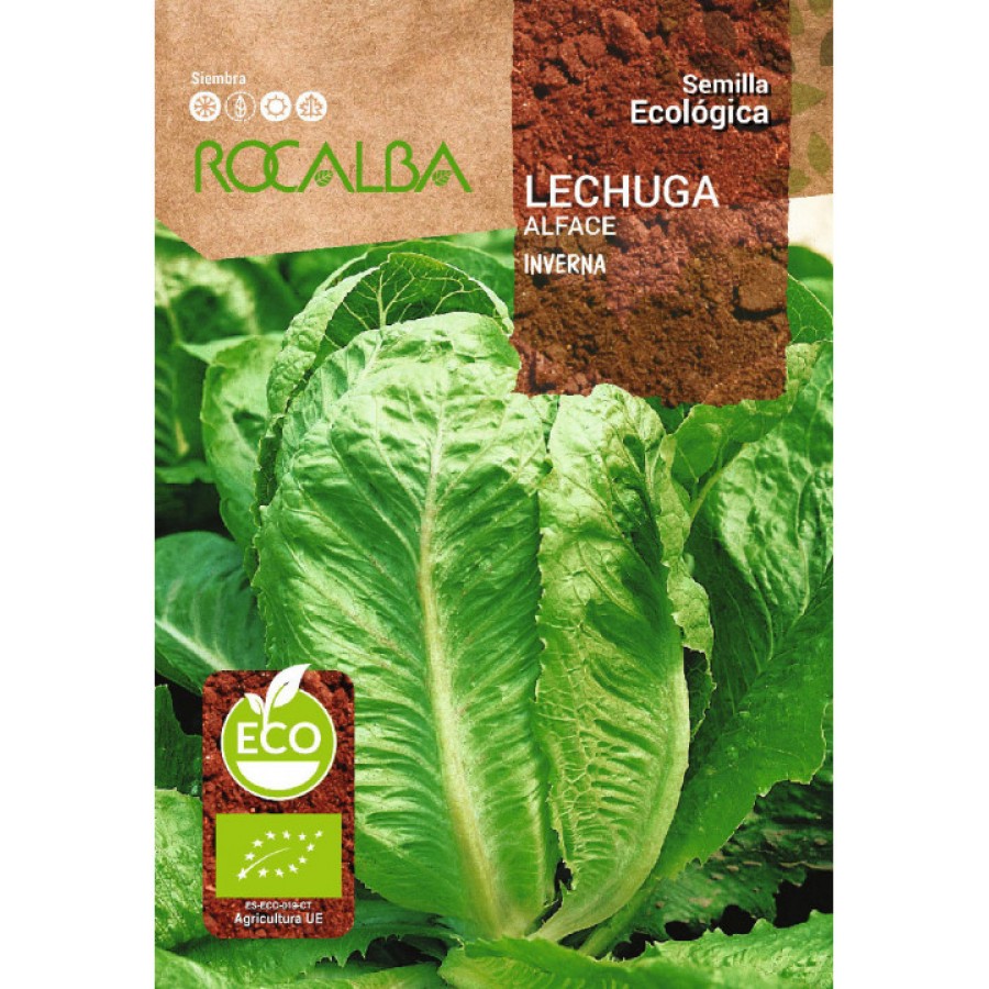 S.BIO ROCALBA ALFACE INVERNA