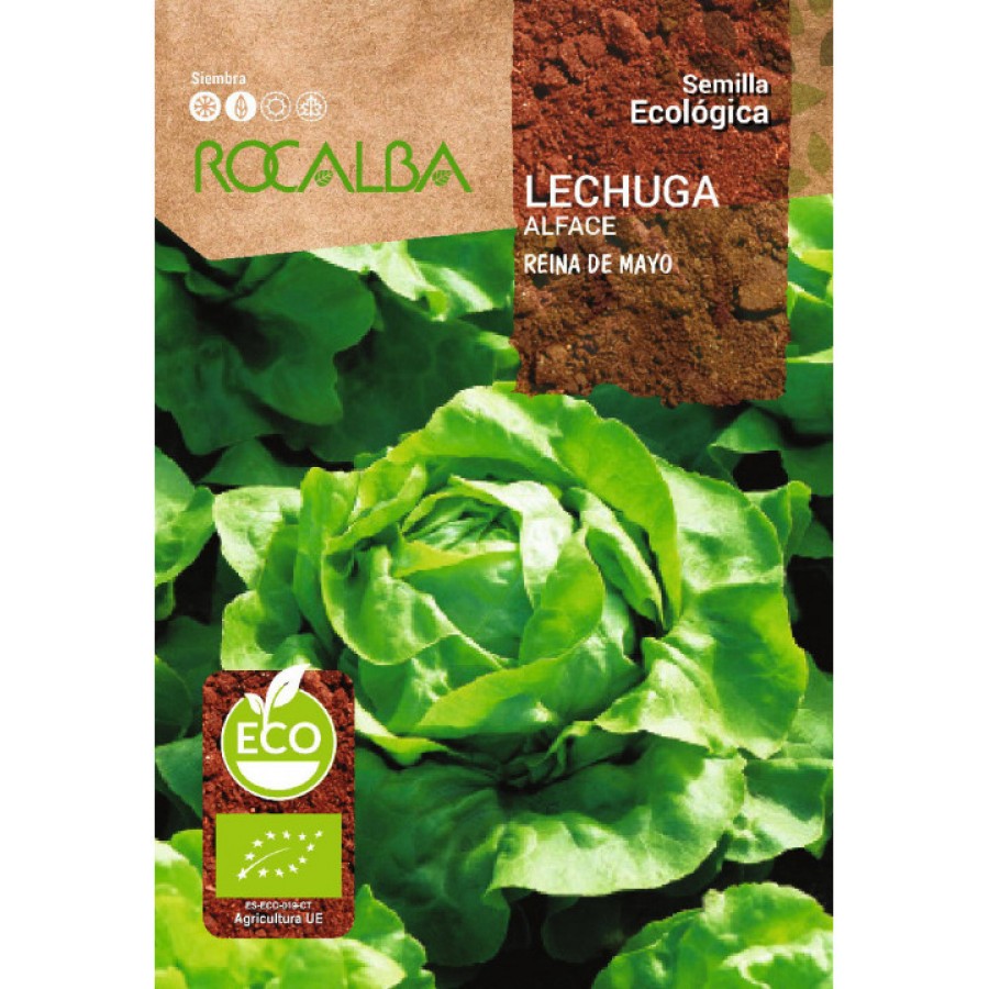 S.BIO ROCALBA ALFACE RAINHA DE MAIO S.BIO ROCALBA ALFACE RAINHA DE MAIO