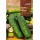 S.BIO ROCALBA PEPINO MARKETMORE