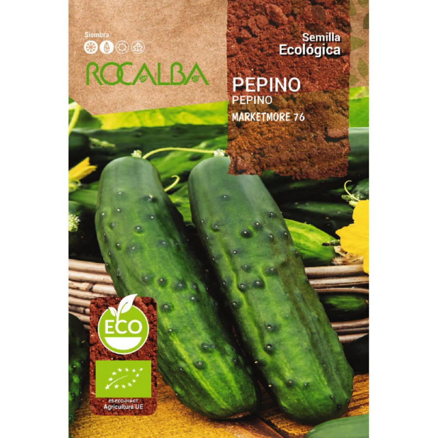 S.BIO ROCALBA PEPINO MARKETMORE S.BIO ROCALBA PEPINO MARKETMORE