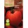 S.BIO ROCALBA TOMATE CORAÇÃO BOI