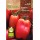S.BIO ROCALBA TOMATE SAN MARZANO GIGANTE 2