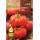 S.BIO ROCALBA TOMATE MARMANDE