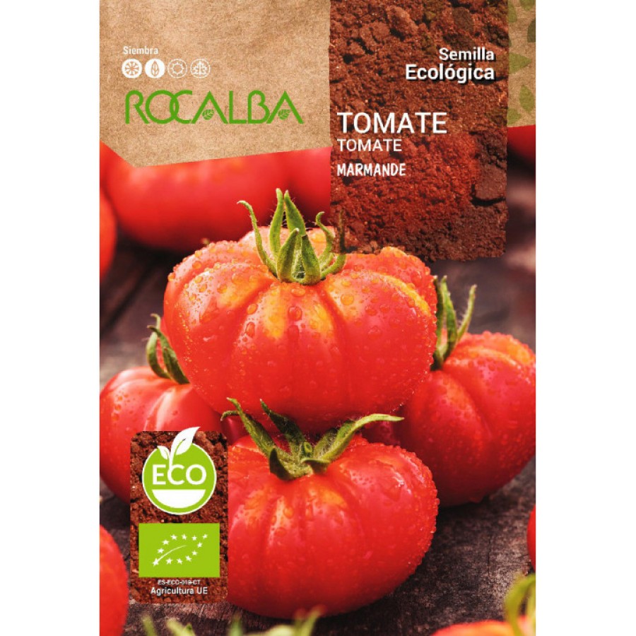 S.BIO ROCALBA TOMATE MARMANDE S.BIO ROCALBA TOMATE MARMANDE