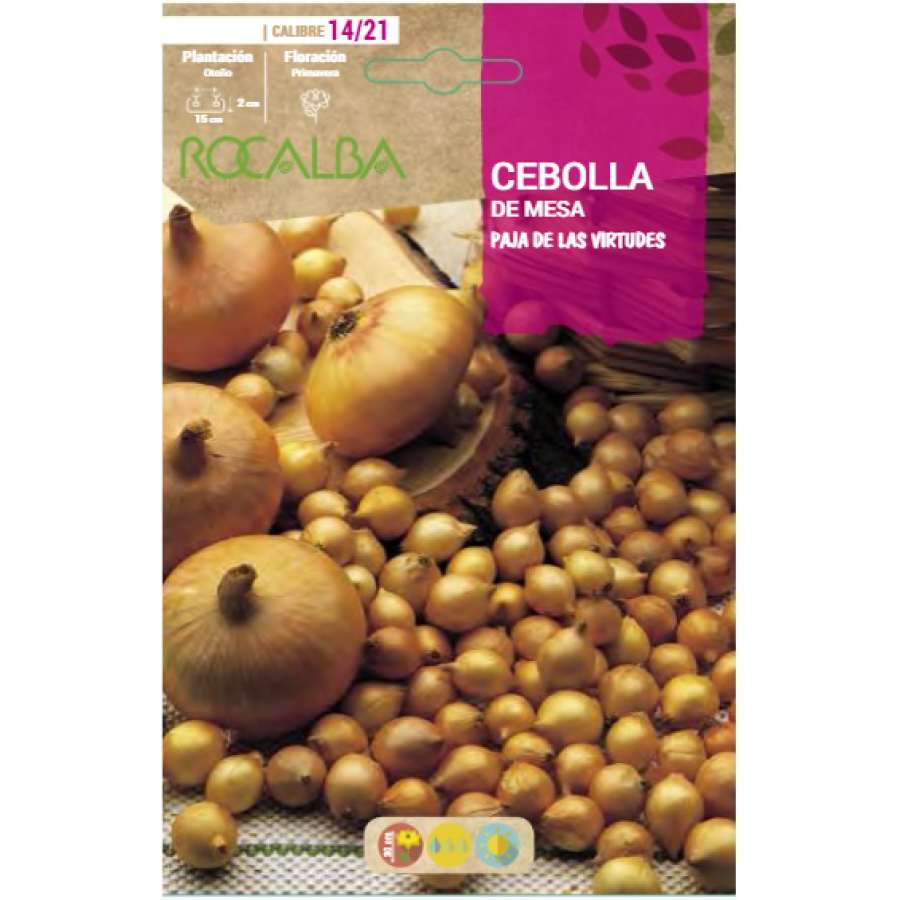 S.CEBOLINHA RO.VIRTUDES - SACO 25KG - SHED0391