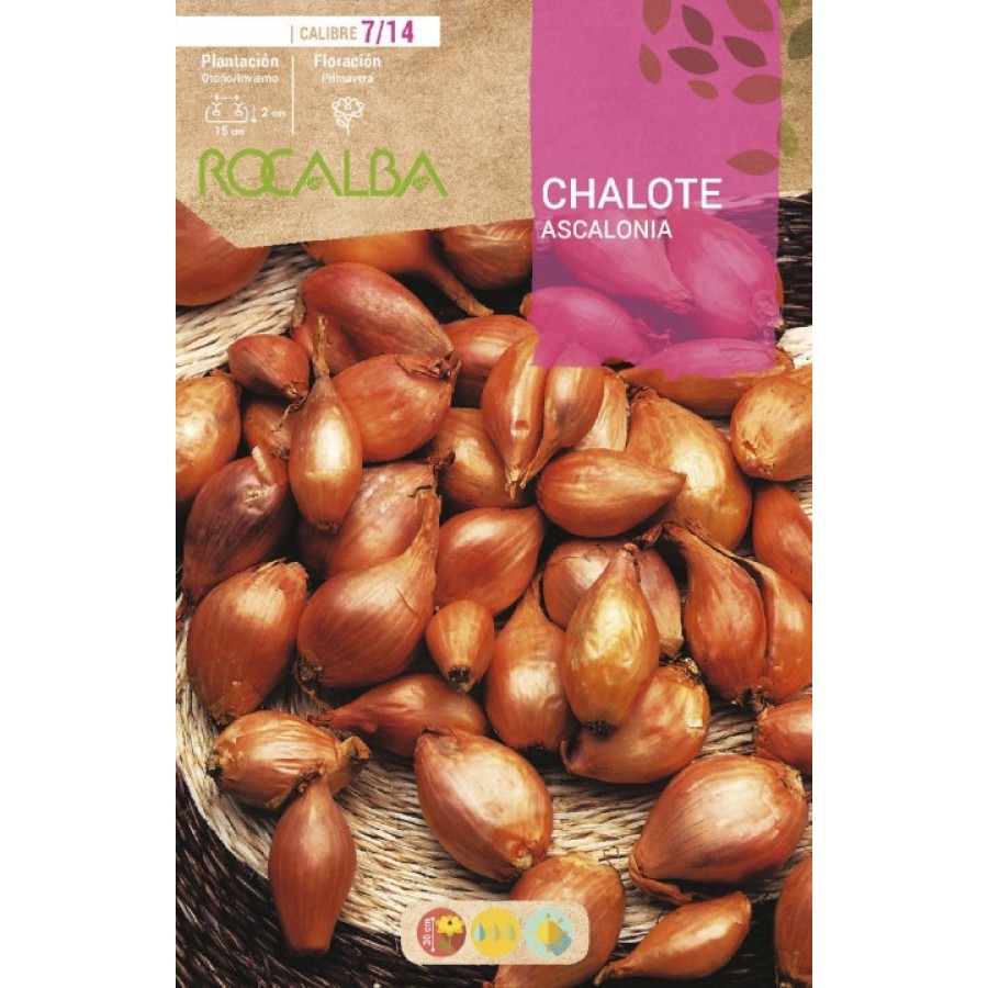 S.CEBOLINHA RO. CHALOTES ASCALONIA - SACO 25KG - SHED0398 S.CEBOLINHA RO. CHALOTES ASCALONIA - SACO 25KG - SHED0398