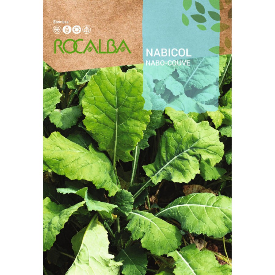 S.COUVE NABIÇA ROCALBA   - 100GR