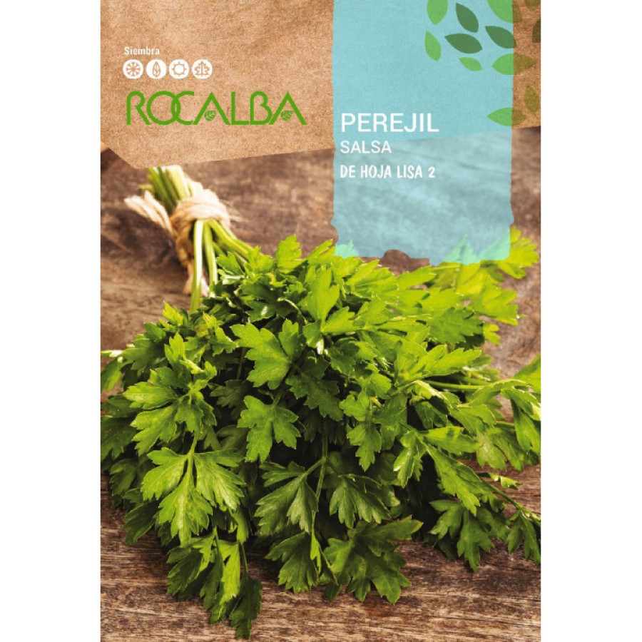 S.SALSA ROCALBA FOLHA LISA 100GR