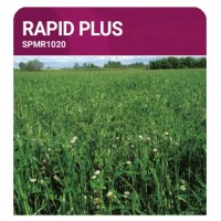 S.PRADO ANUAL RAPID PLUS  -SC 10KG