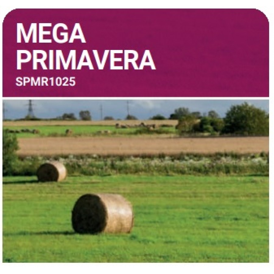 S.PRADO ANUAL MEGA PRIMAVERA -SC 10KG S.PRADO ANUAL MEGA PRIMAVERA -SC 10KG