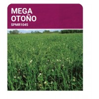 S.PRADO ANUAL MEGA OUTONO  -SC 10KG