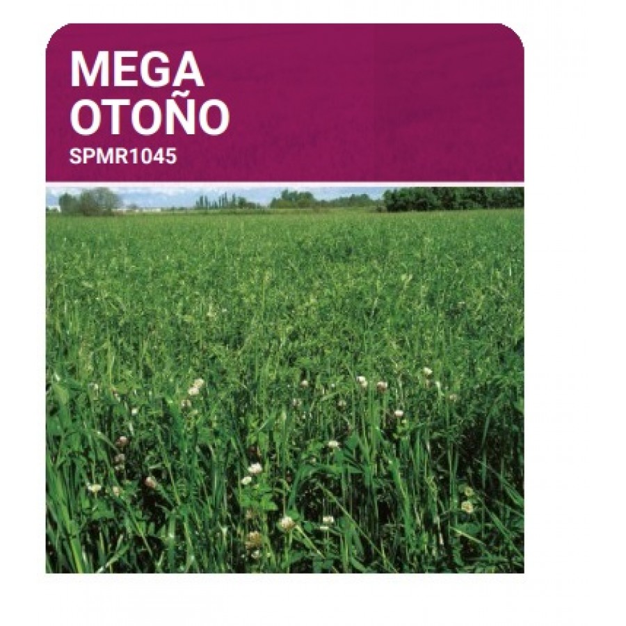 S.PRADO ANUAL MEGA OUTONO  -SC 10KG