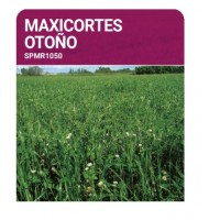 S.PRADO ANUAL MAXICORTES OUTONO -SC 10KG S.PRADO ANUAL MAXICORTES OUTONO -SC 10KG