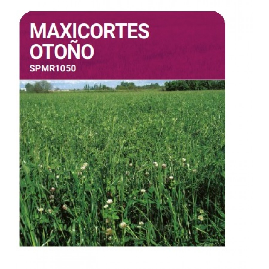 S.PRADO ANUAL MAXICORTES OUTONO -SC 10KG S.PRADO ANUAL MAXICORTES OUTONO -SC 10KG