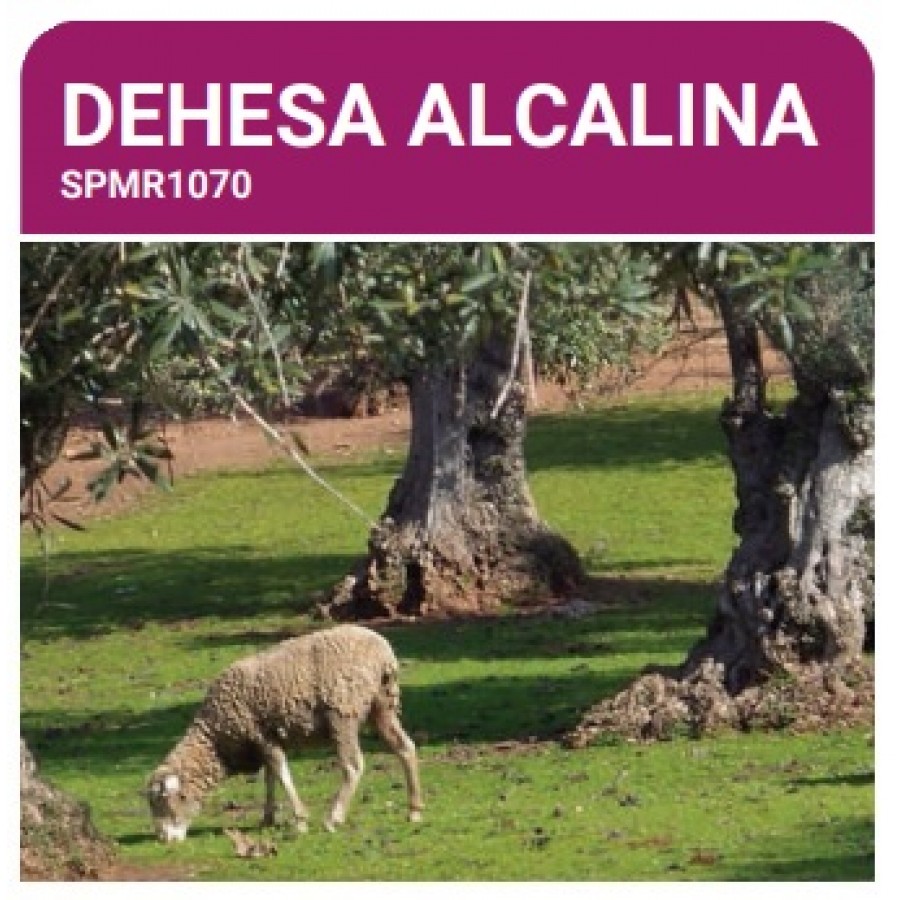 S.PRADO PERMANENTE DEHESA ALCALINO -SC 10KG S.PRADO PERMANENTE DEHESA ALCALINO -SC 10KG