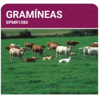 S.PRADO PERMANENTE GRAMINEAS -SC 10KG S.PRADO PERMANENTE GRAMINEAS -SC 10KG