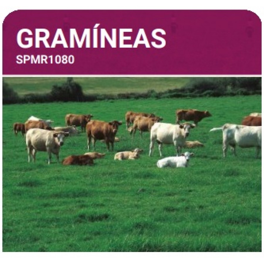 S.PRADO PERMANENTE GRAMINEAS -SC 10KG S.PRADO PERMANENTE GRAMINEAS -SC 10KG