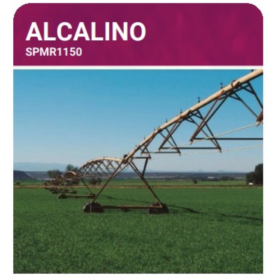 S.PRADO PERMANENTE ALCALINO  -SC 10KG