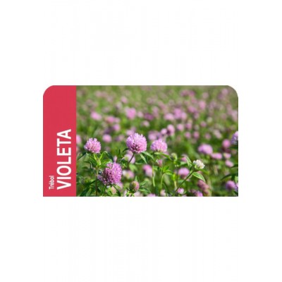 SEMENTE TREVO VIOLETA RO.VIOLA          - 1 KG
